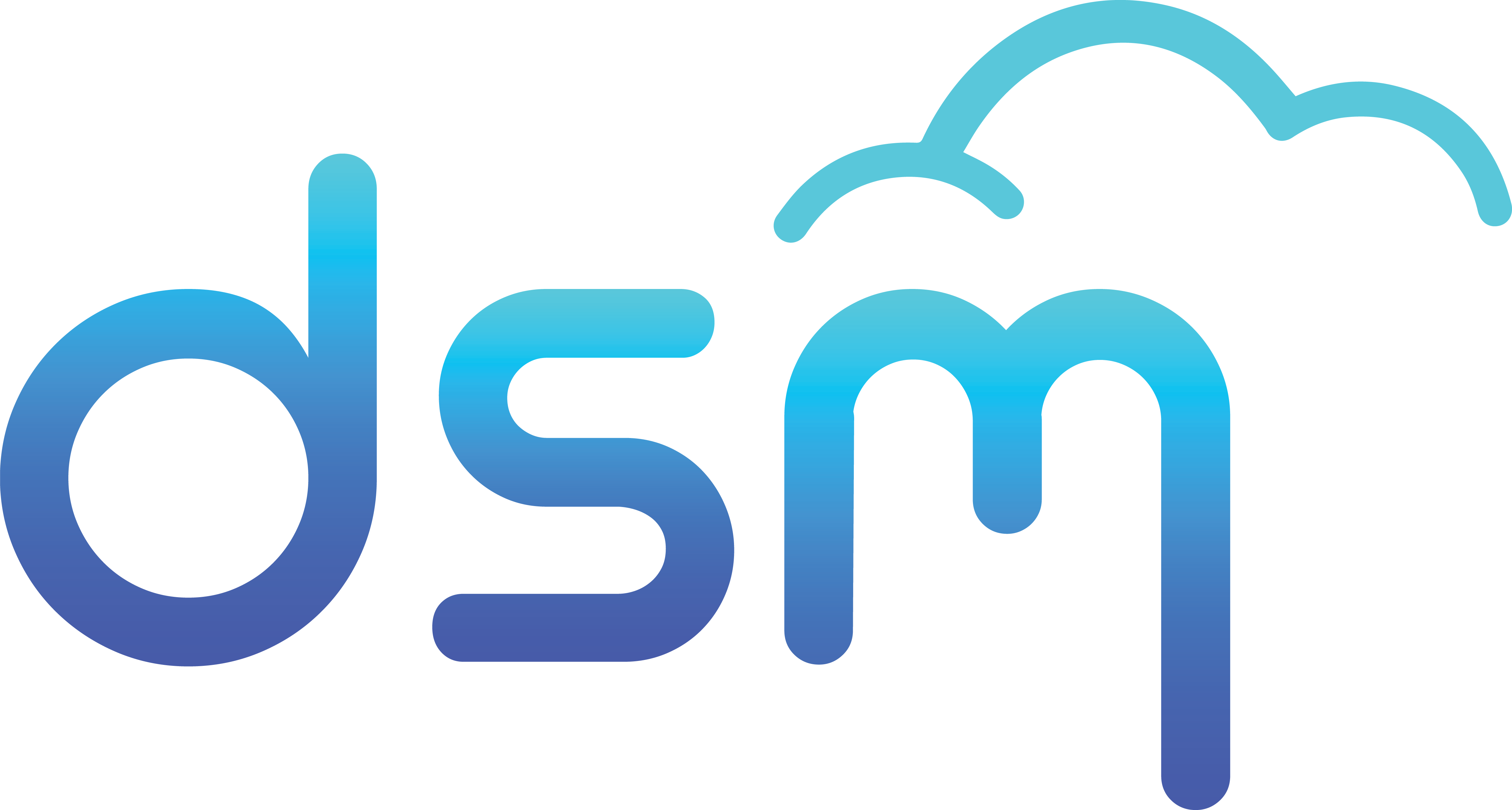 DSM Logo 2018